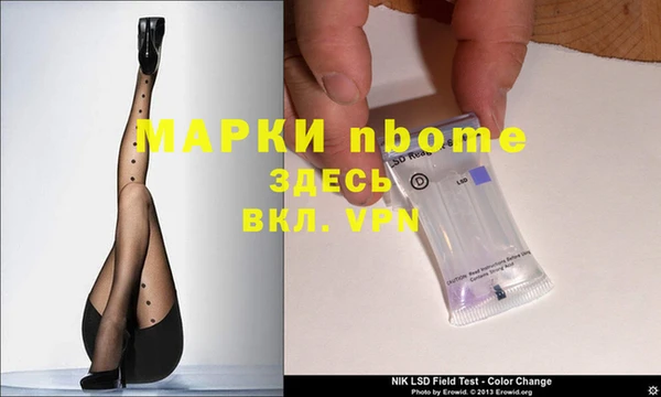 трава Бородино