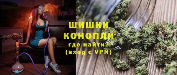 трава Бородино