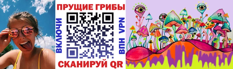 Псилоцибиновые грибы мухоморы  блэк спрут маркетплейс  Калининград 